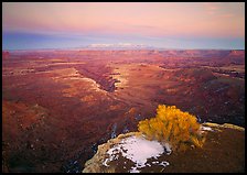 Gorge and plateau at sunset, Island in the Sky. Canyonlands National Park, Utah, USA.