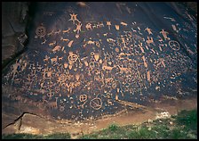 Slab called Newspaper Rock covered with petroglyphs. Bears Ears National Monument, Utah, USA