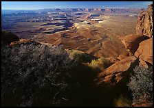 Green river overlook and Henry mountains, Island in the sky. Canyonlands National Park, Utah, USA.