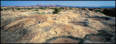 Potholed sandstone slab, Needles District. Canyonlands National Park (Panoramic color)