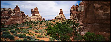 Rock towers, Chessler Park, Needles District. Canyonlands National Park (Panoramic color)