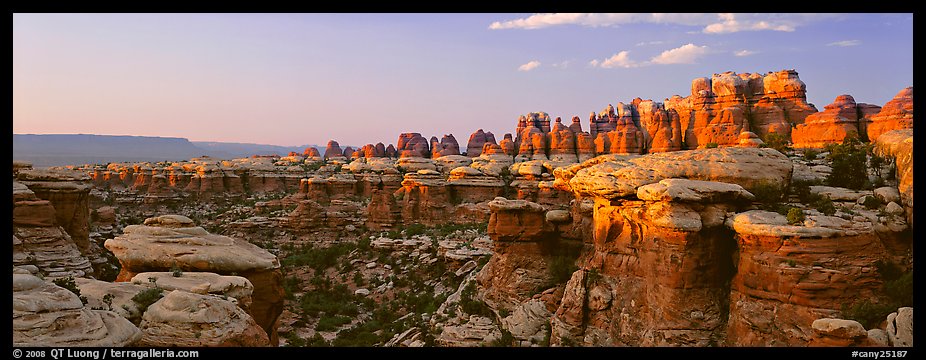 Colorful spires of Cedar Mesa Sandstone, sunset, Needles District. Canyonlands National Park (color)