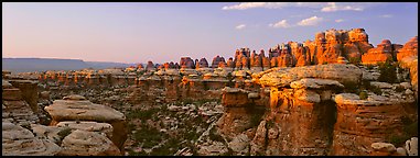 Rock Needles glowing at sunset, Needles District. Canyonlands National Park (Panoramic color)