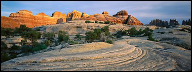 Sandstone Swirls and Rock needles at sunset, Needles District. Canyonlands National Park (Panoramic color)