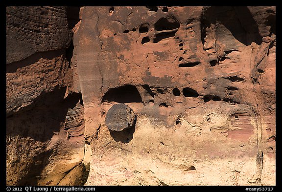 Petrified wood stump encrusted in cliff. Canyonlands National Park (color)