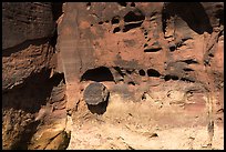 Petrified wood stump encrusted in cliff. Canyonlands National Park ( color)