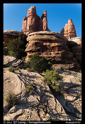 Junipers and pinnacles, Maze District. Canyonlands National Park (color)