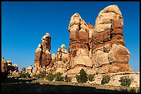 Dollhouse pinnacles, Maze District. Canyonlands National Park, Utah, USA.