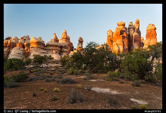 Cryptobiotic soil and pinnacles,. Canyonlands National Park (color)