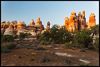 Cryptobiotic soil and pinnacles,. Canyonlands National Park, Utah, USA. (color)