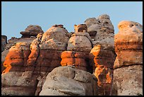 Pinnacles at sunset, Maze District. Canyonlands National Park, Utah, USA.