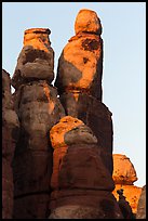 Spires at sunset, Maze District. Canyonlands National Park ( color)