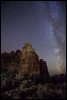 Doll House spires and Milky Way. Canyonlands National Park, Utah, USA.