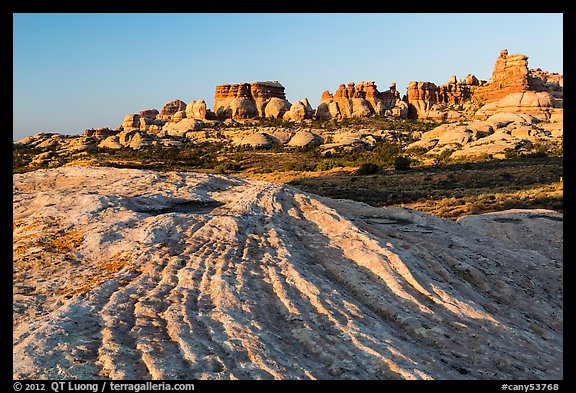 Sandstone swirls and Doll House spires, early morning. Canyonlands National Park, Utah, USA.