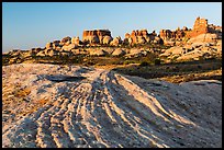 Sandstone swirls and Doll House spires, early morning. Canyonlands National Park ( color)