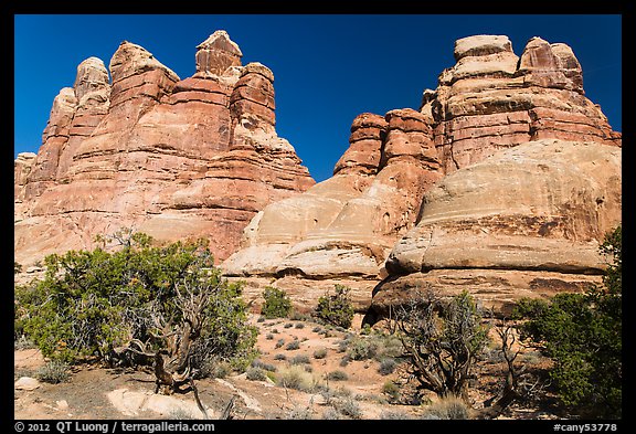 Massive spires, Dollhouse, Maze District. Canyonlands National Park, Utah, USA.