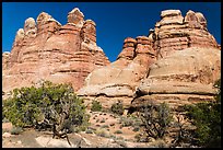 Massive spires, Dollhouse, Maze District. Canyonlands National Park, Utah, USA. (color)