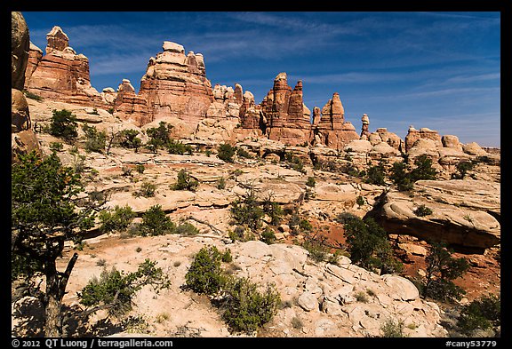 Spires and pinnacles, Dollhouse. Canyonlands National Park, Utah, USA.