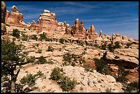 Spires and pinnacles, Dollhouse. Canyonlands National Park, Utah, USA.