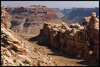 Surprise Valley and Colorado River canyon. Canyonlands National Park, Utah, USA.