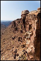 Cliff above Surprise Valley, Maze District. Canyonlands National Park, Utah, USA.