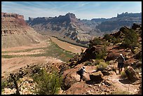 Hikers on steep trail to Dollhouse from Spanish Bottom. Canyonlands National Park, Utah, USA.