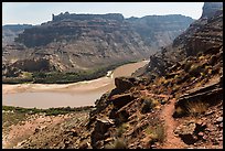 Trail overlooking Colorado River. Canyonlands National Park, Utah, USA.