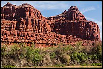 Cottonwoods and red cliffs. Canyonlands National Park ( color)