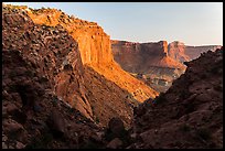 Cliffs at sunset, Island in the Sky. Canyonlands National Park, Utah, USA.