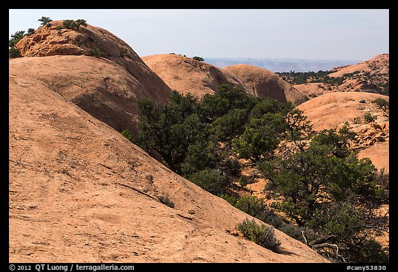 Whale Rock domes, Island in the Sky District. Canyonlands National Park (color)