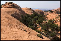 Whale Rock domes, Island in the Sky District. Canyonlands National Park ( color)