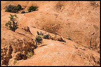 Smooth slickrock, Island in the Sky District. Canyonlands National Park ( color)