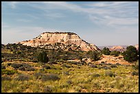 Aztec Butte. Canyonlands National Park, Utah, USA. (color)