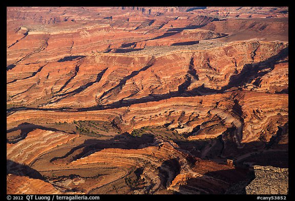 Aerial view of Maze canyons. Canyonlands National Park, Utah, USA.