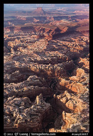 Aerial view of Maze and Elaterite Butte. Canyonlands National Park, Utah, USA.