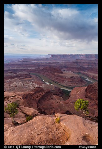 Colorado River from Dead Horse Point, morning. Canyonlands National Park, Utah, USA.