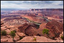 Gooseneck of the Colorado River from Dead Horse Point. Canyonlands National Park ( color)