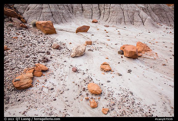 Bentonite and petrified wood, Orange Cliffs Unit, Glen Canyon National Recreation Area, Utah. USA (color)