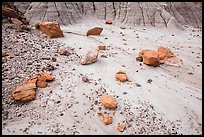 Bentonite and petrified wood, Orange Cliffs Unit, Glen Canyon National Recreation Area, Utah. USA (color)