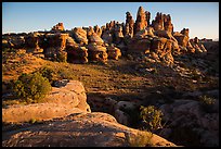 Dollhouse spires at sunrise. Canyonlands National Park, Utah, USA. (color)