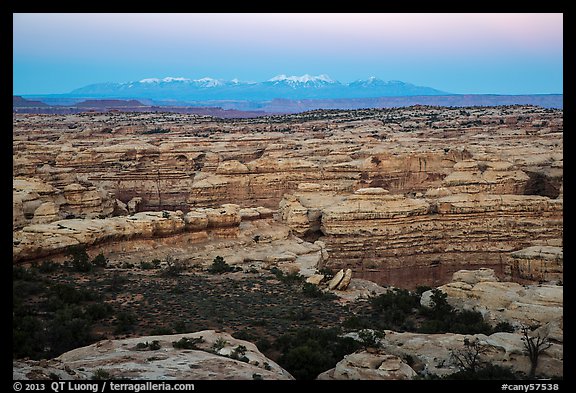 Maze canyons and snowy mountains at dusk. Canyonlands National Park (color)