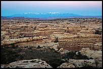 Maze canyons and snowy mountains at dusk. Canyonlands National Park, Utah, USA. (color)