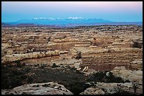 Maze canyons and snowy mountains at dusk. Canyonlands National Park, Utah, USA.