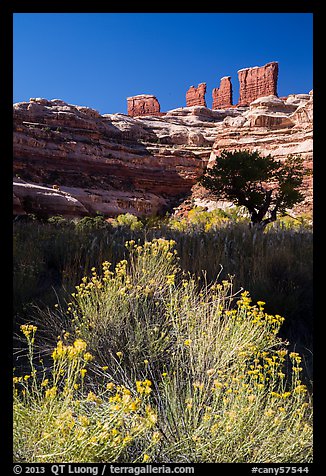 Chocolate drops seen from Maze canyons. Canyonlands National Park, Utah, USA.