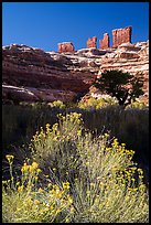 Chocolate drops seen from Maze canyons. Canyonlands National Park ( color)