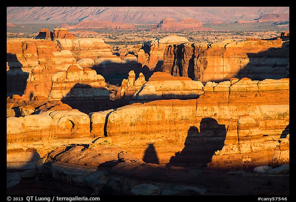 Maze canyons at sunset. Canyonlands National Park, Utah, USA.