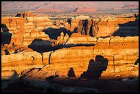 Maze canyons at sunset. Canyonlands National Park, Utah, USA. (color)