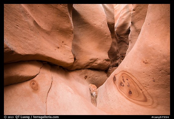 Motifs in sandstone, High Spur slot canyon, Orange Cliffs Unit, Glen Canyon National Recreation Area, Utah. USA (color)