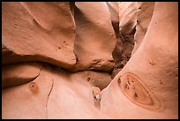 Motifs in sandstone, High Spur slot canyon, Orange Cliffs Unit, Glen Canyon National Recreation Area, Utah. USA ( color)