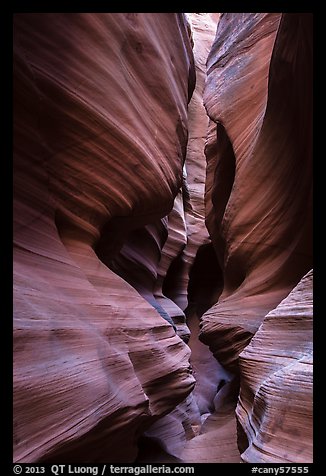 Narrows, High Spur slot canyon, Orange Cliffs Unit, Glen Canyon National Recreation Area, Utah. USA (color)